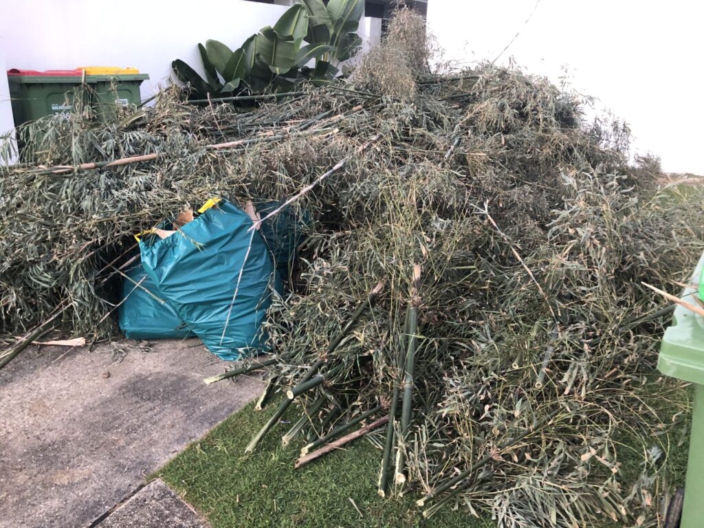 Waste Removal