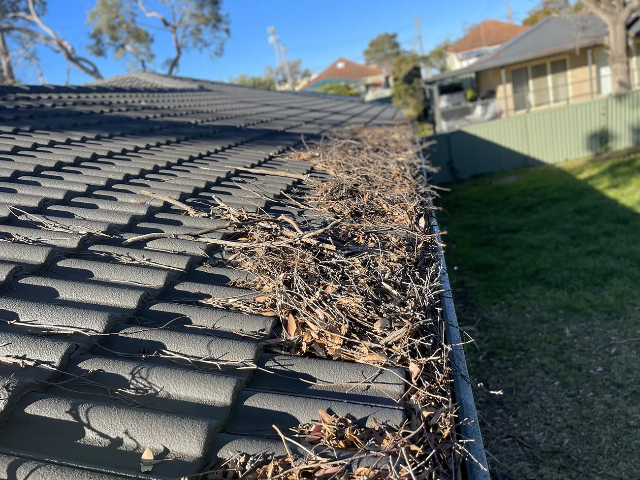 Gutter Cleaning
