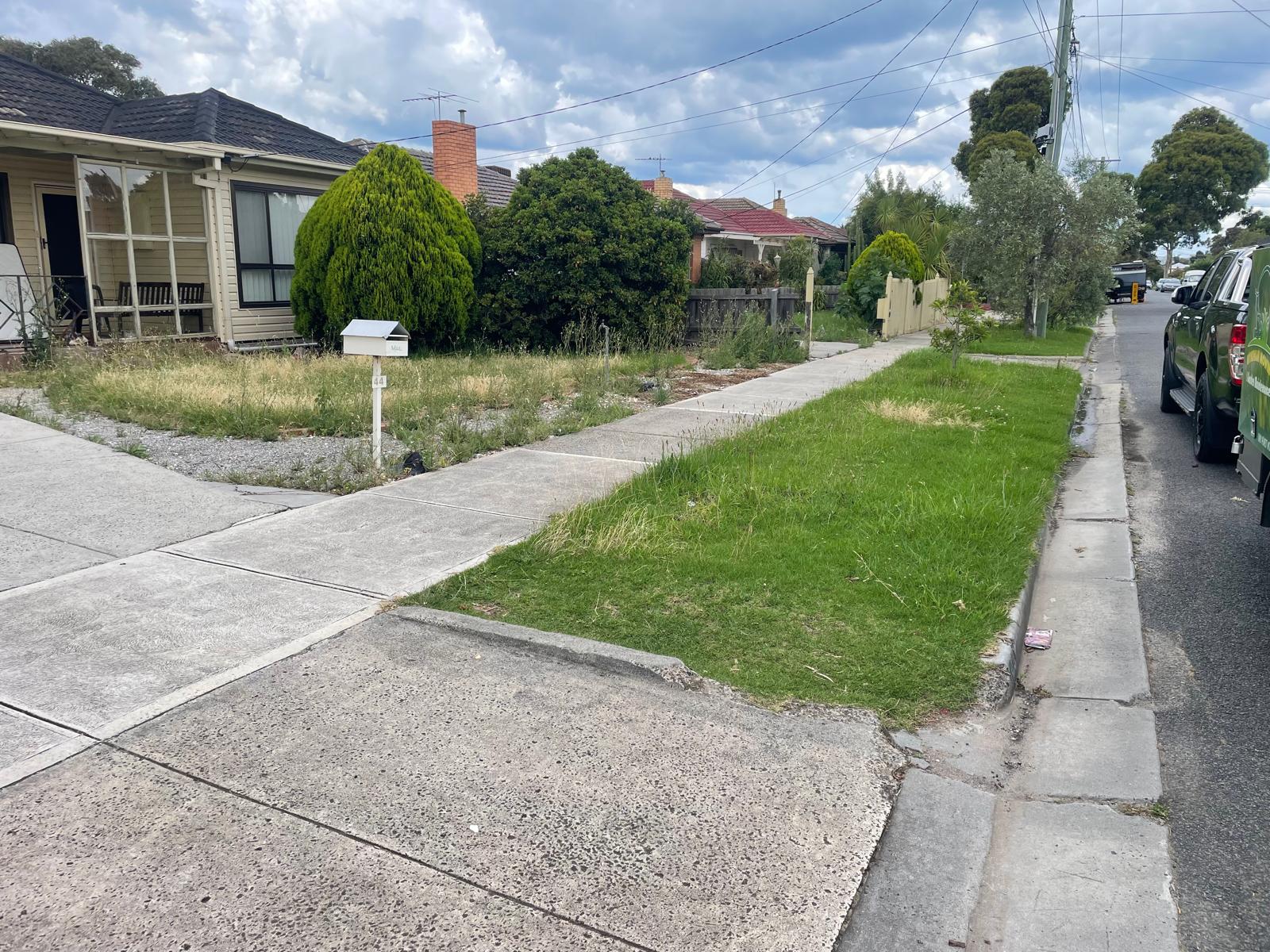 Weed Control Before