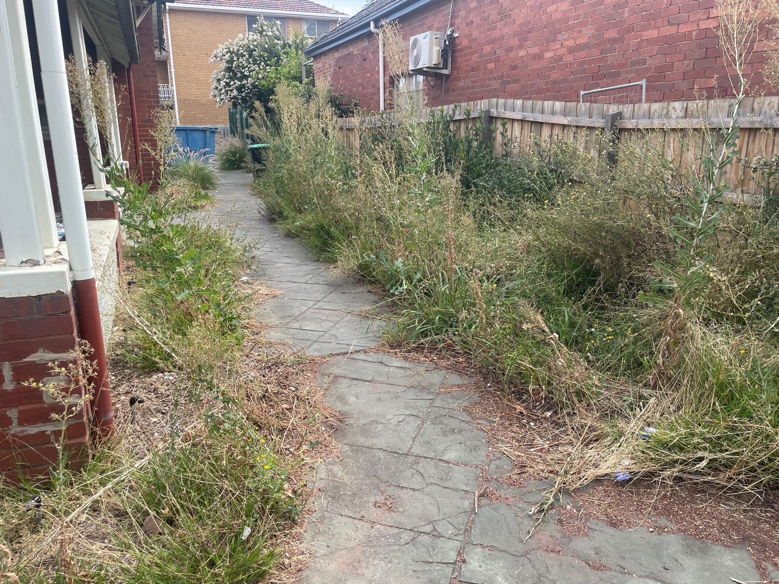 Green Waste Removal Before