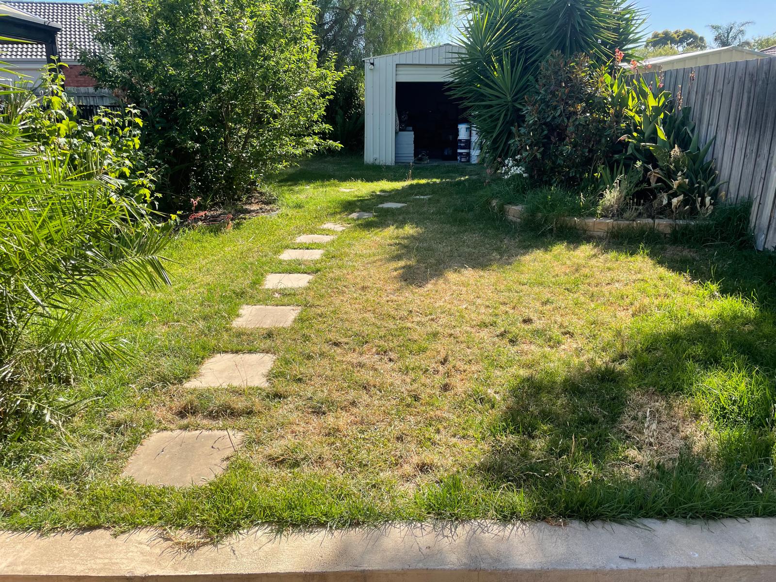 Lawn Care Before