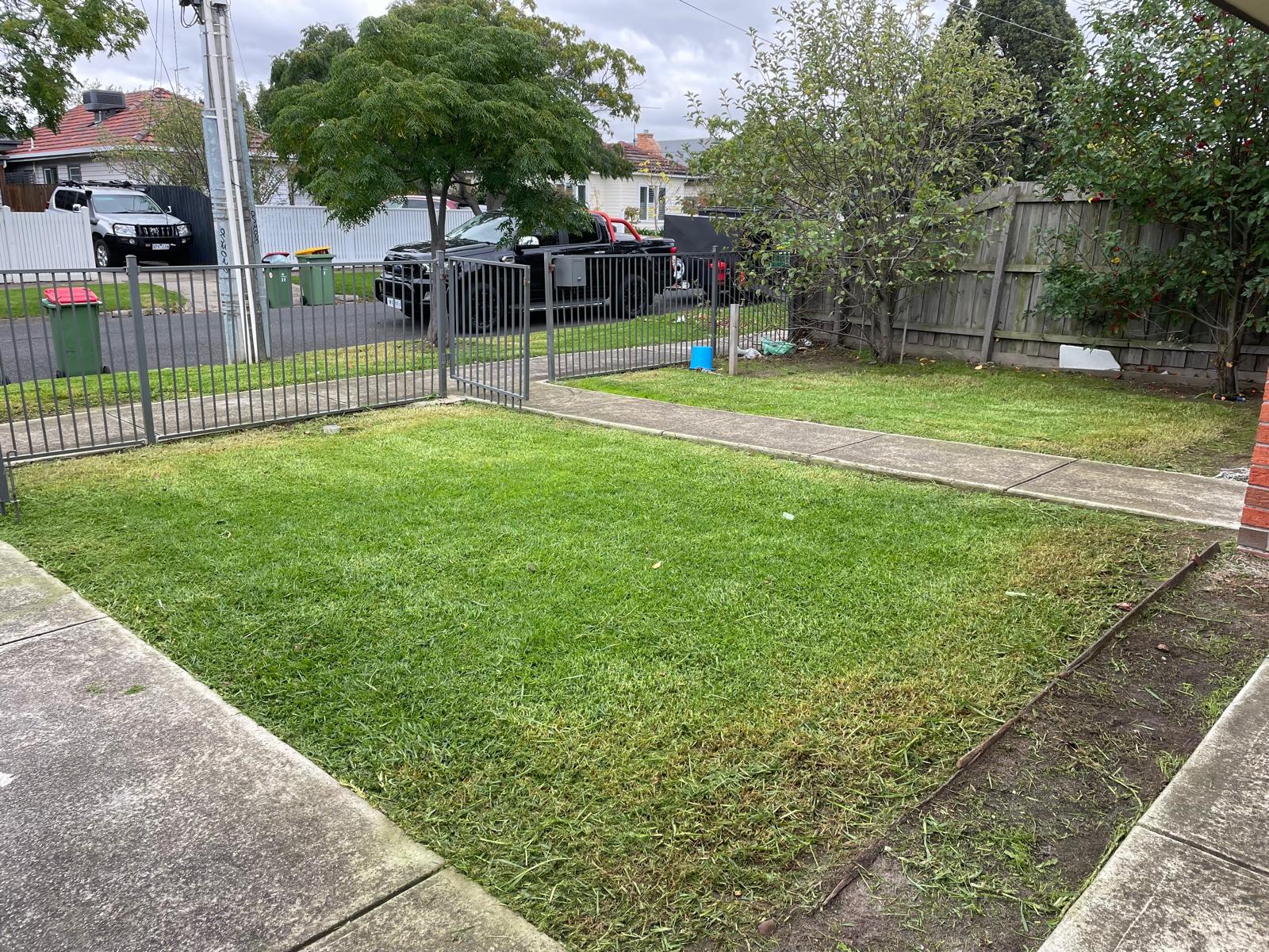 Lawn Care After