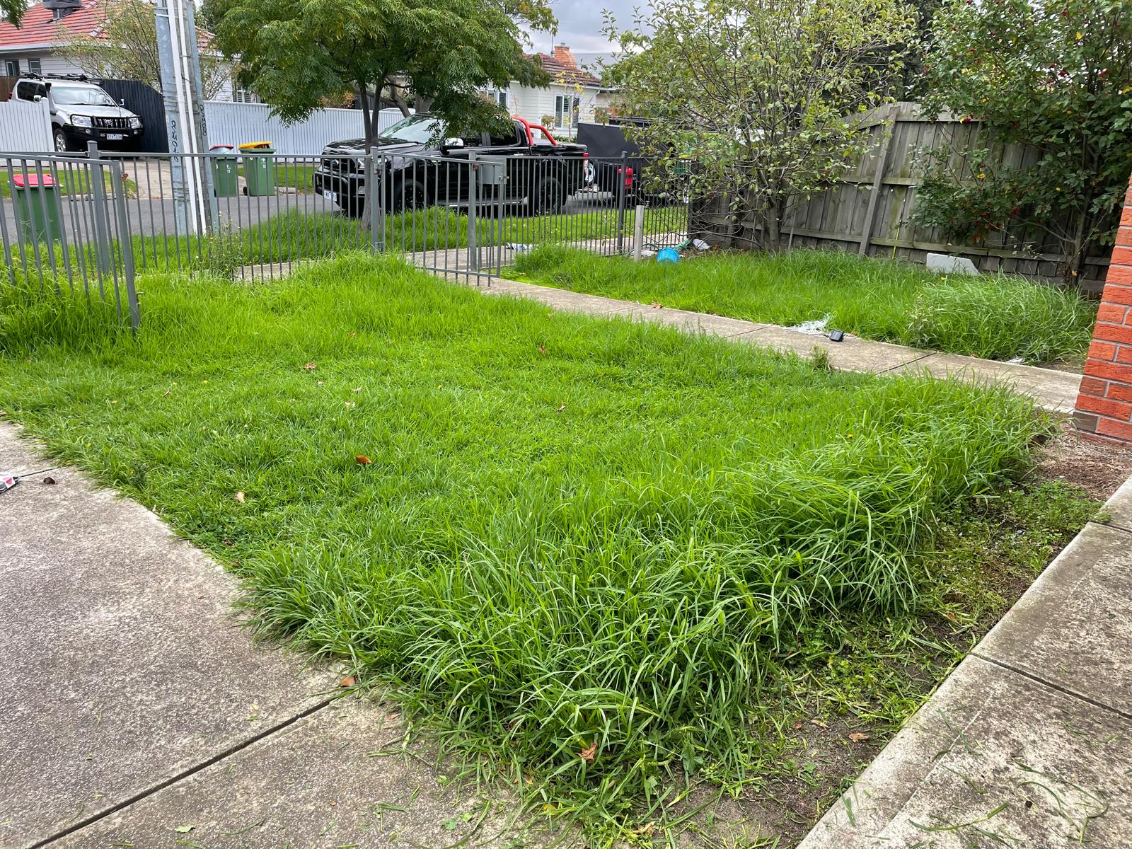 Lawn Care